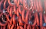 Taklit-tağşiş gıdalar listesine 15 yeni ürün! Taklit-tağşiş gıdalar listesine 15 yeni ürün!