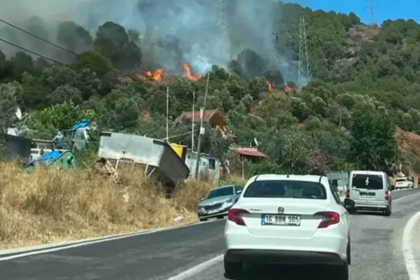 Yalova’da orman yangını!